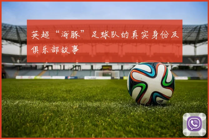 英超“海豚”足球队的真实身份及俱乐部故事